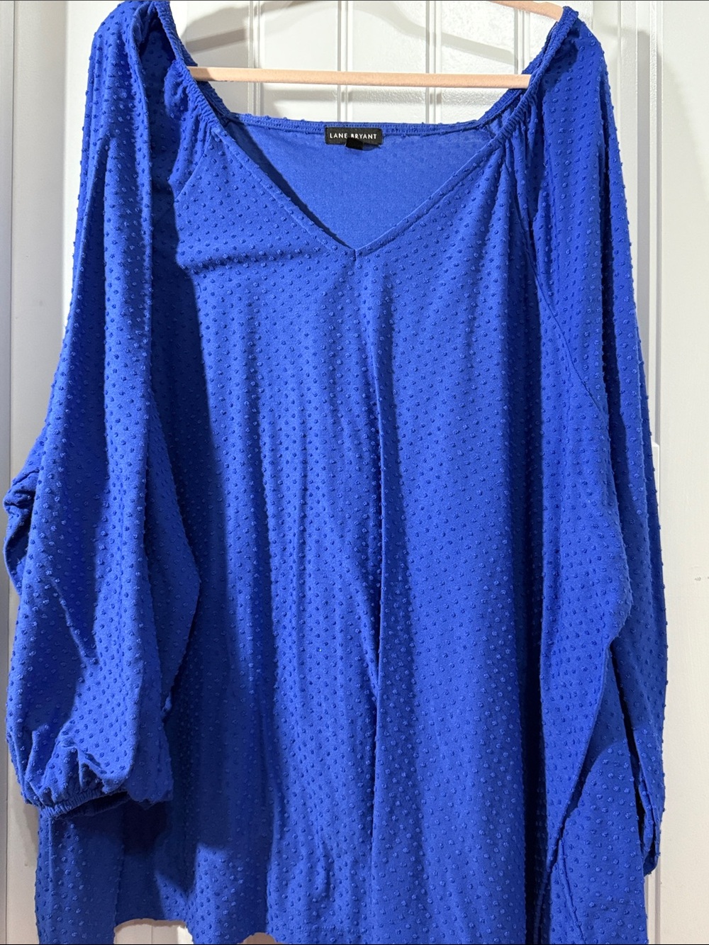 Lane Bryant Cobalt Blue Swiss Dot V-Neck Tunic